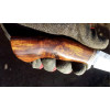 АРІЗОНА ніж ручної роботи майстра Олександр Сербин (AlexKnifemaker), сталь Sunmay Elmax в 95х18, 62 HRC, купити замовити в Україні